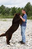 ADULTE ET CHIEN 250